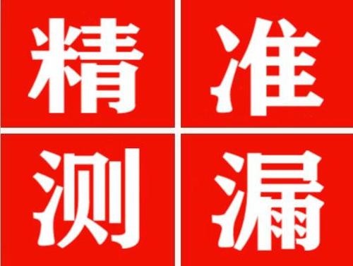 东风尚嘉漏水精准查找
